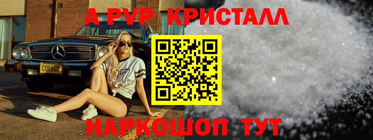 A PVP СК КРИС Елизово