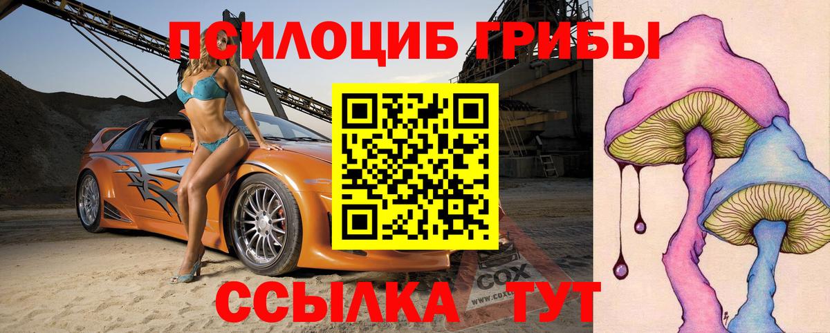 Псилоцибиновые грибы Cubensis Елизово