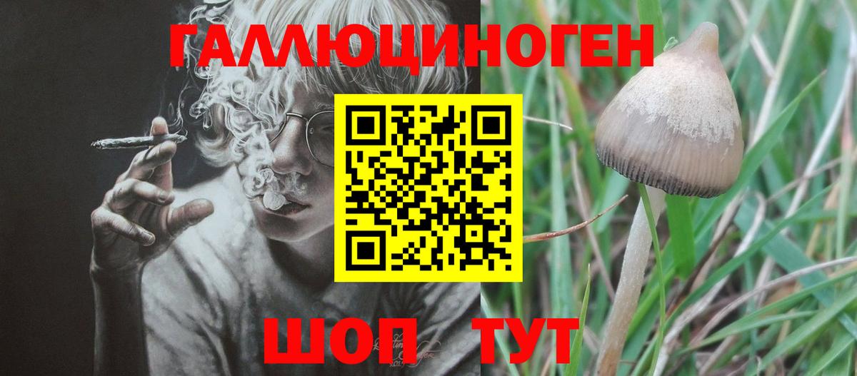 Псилоцибиновые грибы ЛСД  Вход с VPN  Елизово  Галлюциногенные грибы Psilocybine cubensis 